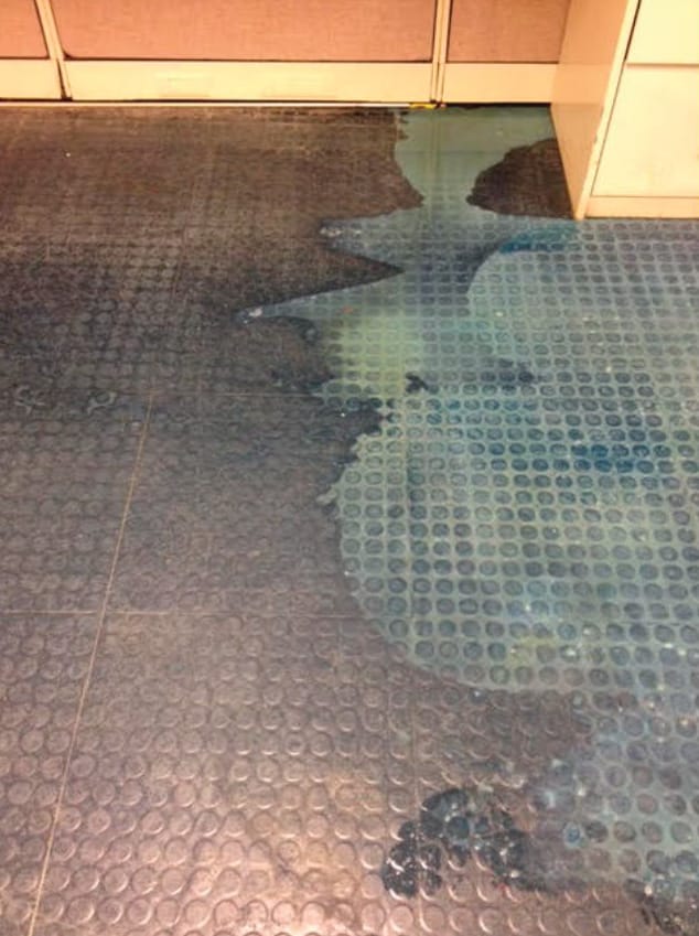 all-bright_stain-floor-before.jpg