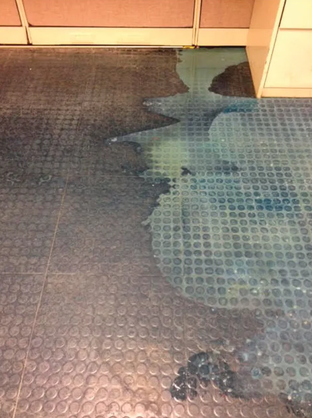 all-bright_stain-floor-before.jpg