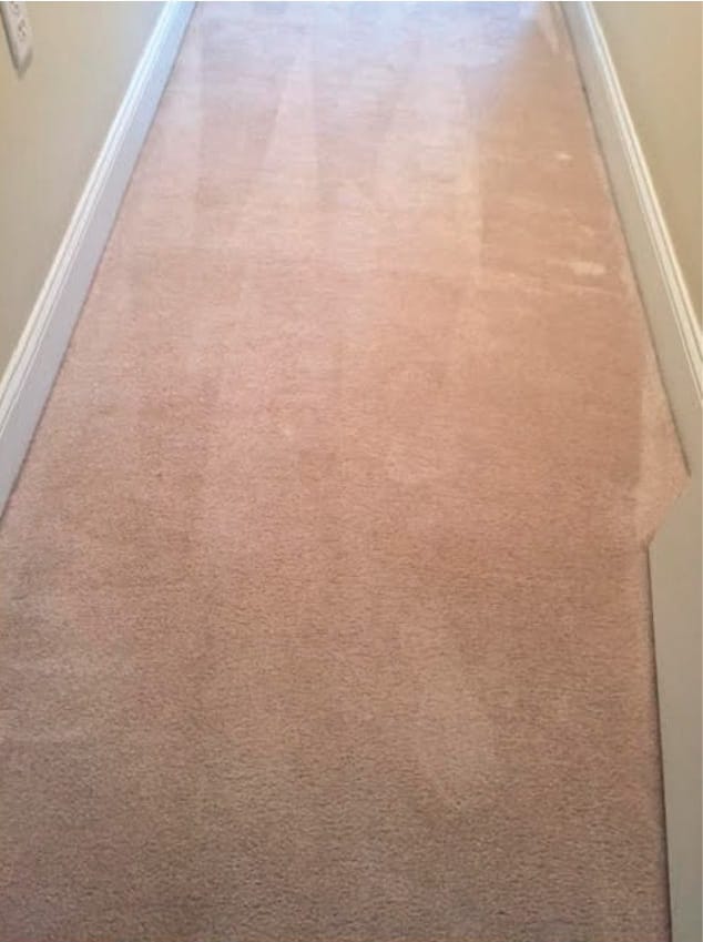 all-bright_tan-floor-after.jpg