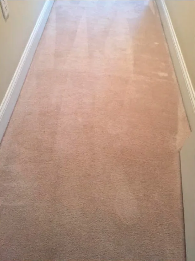 all-bright_tan-floor-after.jpg