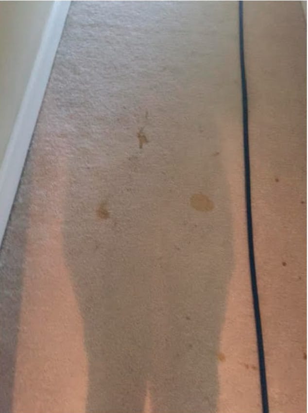 all-bright_tan-floor-before.jpg